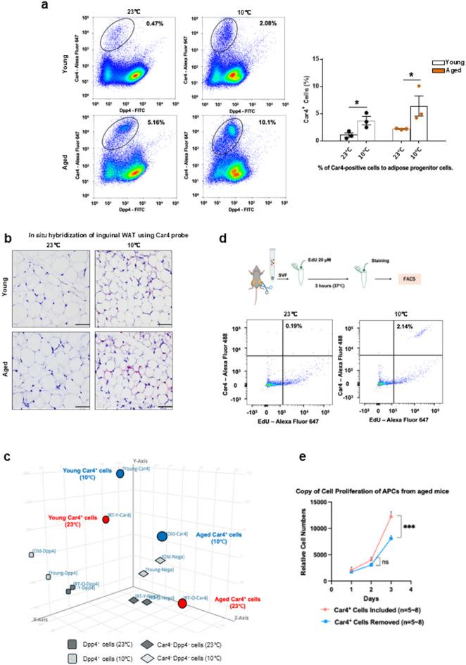 https://cdn.ncbi.nlm.nih.gov/pmc/blobs/e9ab/12397281/bfa08e5936f9/41598_2025_17231_Fig3_HTML.jpg