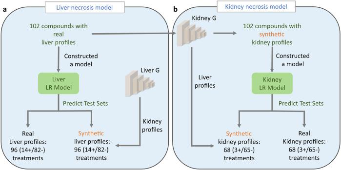 https://cdn.ncbi.nlm.nih.gov/pmc/blobs/e9ad/11538515/6e2153dac968/41746_2024_1317_Fig7_HTML.jpg