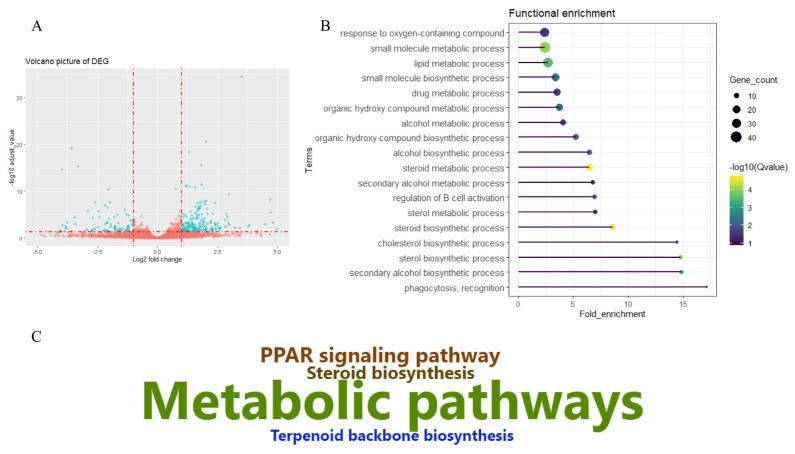 https://cdn.ncbi.nlm.nih.gov/pmc/blobs/e9ad/8100475/113ba21b0927/ajas-20-0342f1.jpg
