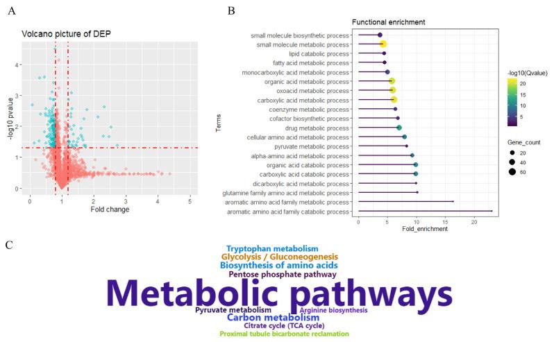 https://cdn.ncbi.nlm.nih.gov/pmc/blobs/e9ad/8100475/5ad8f4e500f1/ajas-20-0342f2.jpg