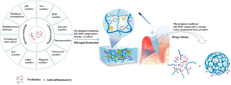 https://cdn.ncbi.nlm.nih.gov/pmc/blobs/e9ae/11994392/7ee792e3ac73/gr7.jpg