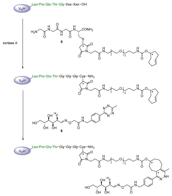 https://cdn.ncbi.nlm.nih.gov/pmc/blobs/e9b0/8471529/319256a708dc/diagnostics-11-01530-g008.jpg