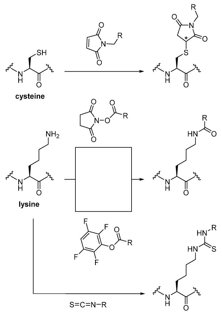 https://cdn.ncbi.nlm.nih.gov/pmc/blobs/e9b0/8471529/564bfa458ff1/diagnostics-11-01530-g002.jpg