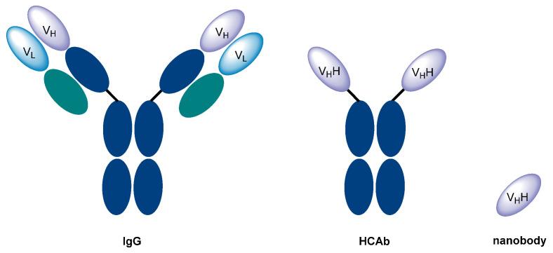https://cdn.ncbi.nlm.nih.gov/pmc/blobs/e9b0/8471529/6c35204debf8/diagnostics-11-01530-g001.jpg