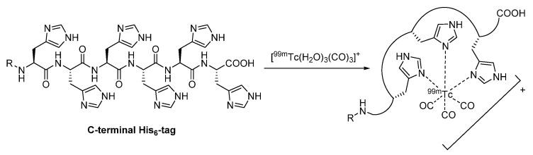 https://cdn.ncbi.nlm.nih.gov/pmc/blobs/e9b0/8471529/726cb7e92187/diagnostics-11-01530-g015.jpg