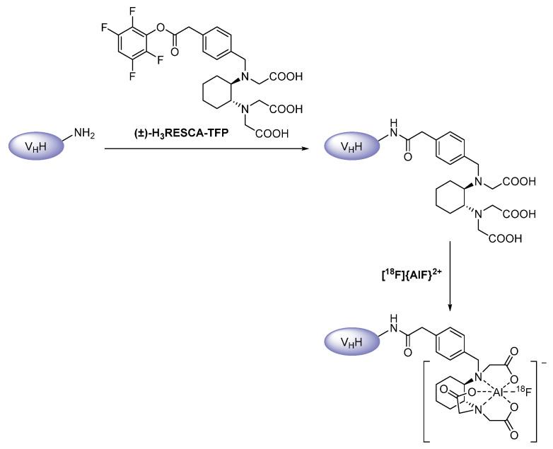 https://cdn.ncbi.nlm.nih.gov/pmc/blobs/e9b0/8471529/7f2fcd1c42a2/diagnostics-11-01530-g010.jpg