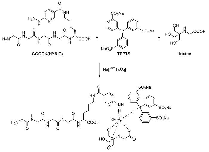 https://cdn.ncbi.nlm.nih.gov/pmc/blobs/e9b0/8471529/9b0a91629d3f/diagnostics-11-01530-g016.jpg