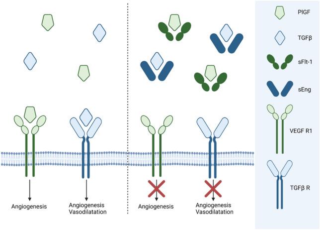 https://cdn.ncbi.nlm.nih.gov/pmc/blobs/e9b8/11564232/50254fe4c935/10456_2024_9939_Fig1_HTML.jpg