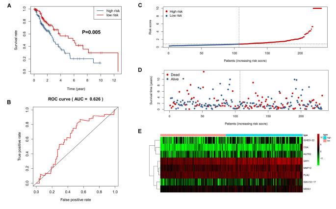 https://cdn.ncbi.nlm.nih.gov/pmc/blobs/e9b8/7533590/5bbf1614d7d1/fimmu-11-01933-g004.jpg