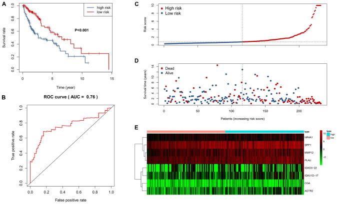 https://cdn.ncbi.nlm.nih.gov/pmc/blobs/e9b8/7533590/70c39049fc16/fimmu-11-01933-g003.jpg