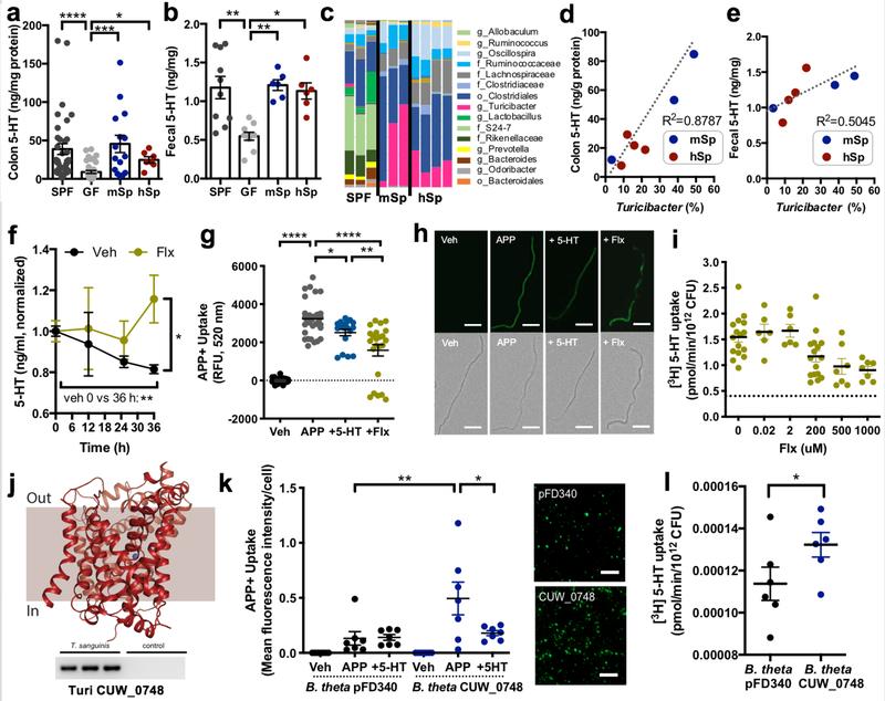 https://cdn.ncbi.nlm.nih.gov/pmc/blobs/e9ba/6879823/783697e37c8e/nihms-1534730-f0002.jpg