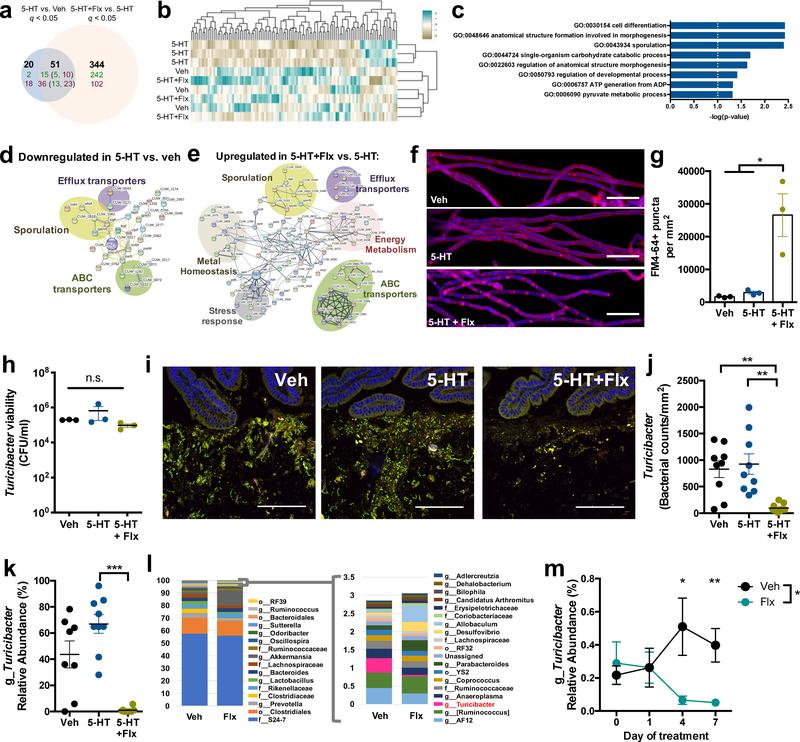 https://cdn.ncbi.nlm.nih.gov/pmc/blobs/e9ba/6879823/82129ee6528d/nihms-1534730-f0003.jpg