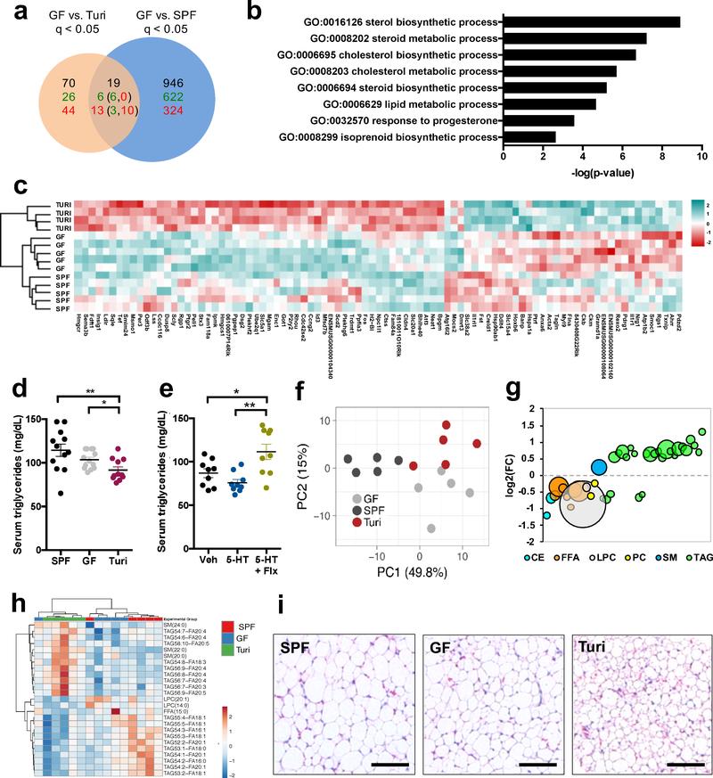 https://cdn.ncbi.nlm.nih.gov/pmc/blobs/e9ba/6879823/e326d7fbf665/nihms-1534730-f0004.jpg