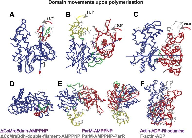 https://cdn.ncbi.nlm.nih.gov/pmc/blobs/e9bd/4051119/267643f9cd53/elife02634fs005.jpg