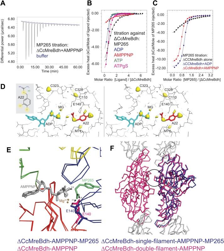 https://cdn.ncbi.nlm.nih.gov/pmc/blobs/e9bd/4051119/f23c01705b8b/elife02634f007.jpg