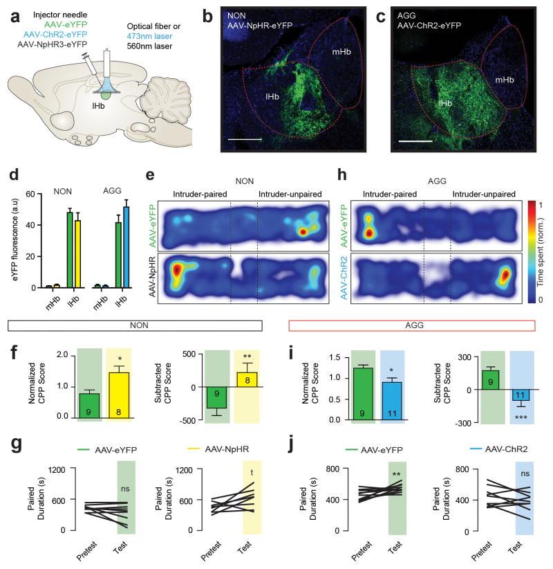 https://cdn.ncbi.nlm.nih.gov/pmc/blobs/e9bd/4930107/9cfc2f1079ba/nihms787738f11.jpg