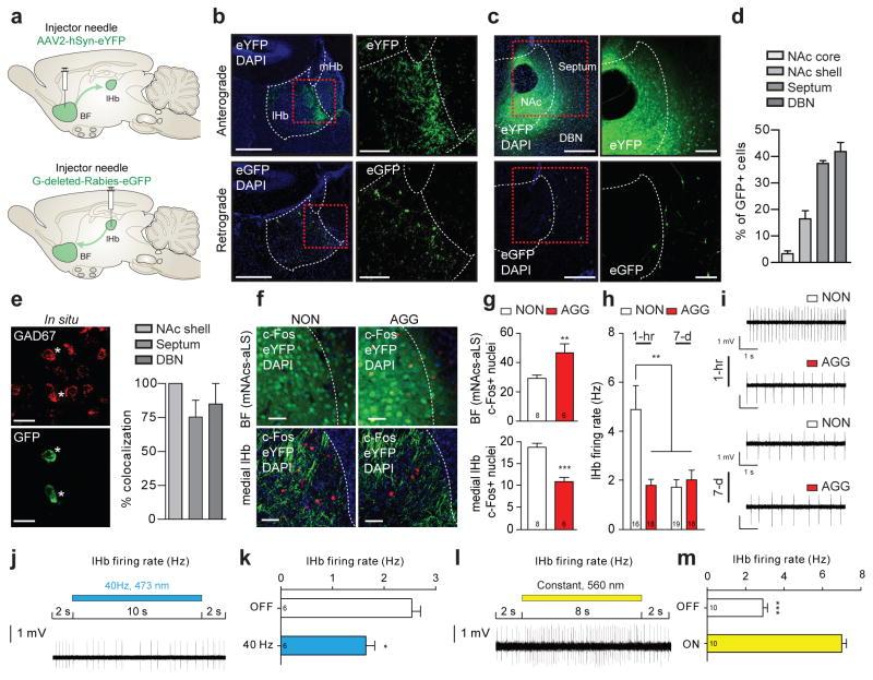 https://cdn.ncbi.nlm.nih.gov/pmc/blobs/e9bd/4930107/dacffe34c974/nihms787738f2.jpg