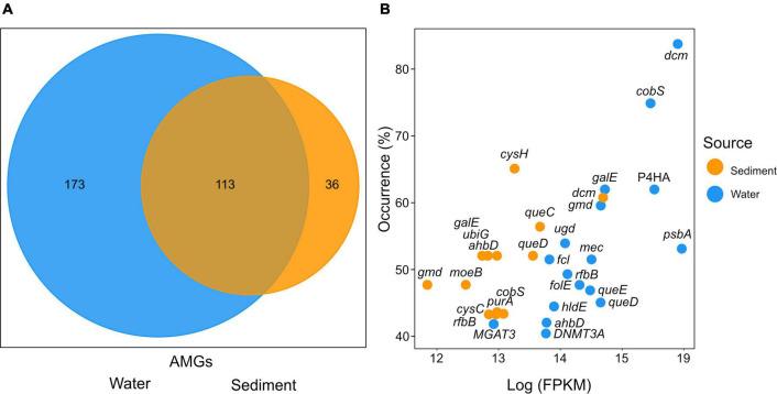 https://cdn.ncbi.nlm.nih.gov/pmc/blobs/e9c0/9301287/61e4bfa37ca7/fmicb-13-863620-g005.jpg