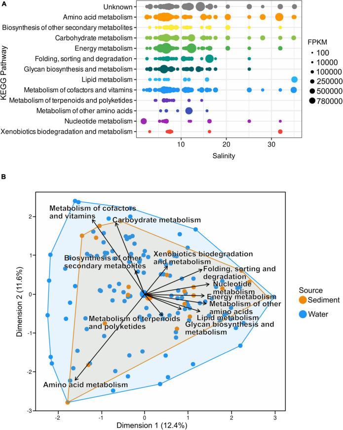 https://cdn.ncbi.nlm.nih.gov/pmc/blobs/e9c0/9301287/ec2e59a0b544/fmicb-13-863620-g006.jpg