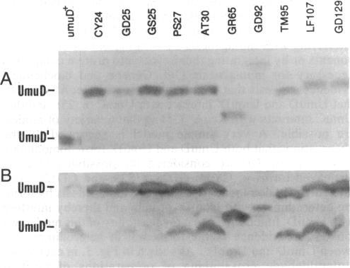 https://cdn.ncbi.nlm.nih.gov/pmc/blobs/e9c1/54709/0c68623bda63/pnas01043-0272-b.jpg