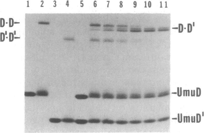 https://cdn.ncbi.nlm.nih.gov/pmc/blobs/e9c1/54709/b91f33a89247/pnas01043-0273-a.jpg