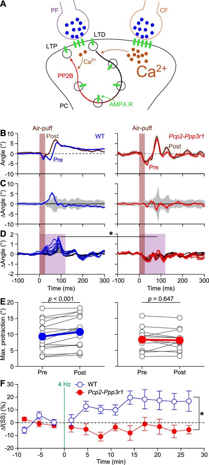 https://cdn.ncbi.nlm.nih.gov/pmc/blobs/e9c1/6326726/1df9c47b44e7/elife-38852-fig7.jpg