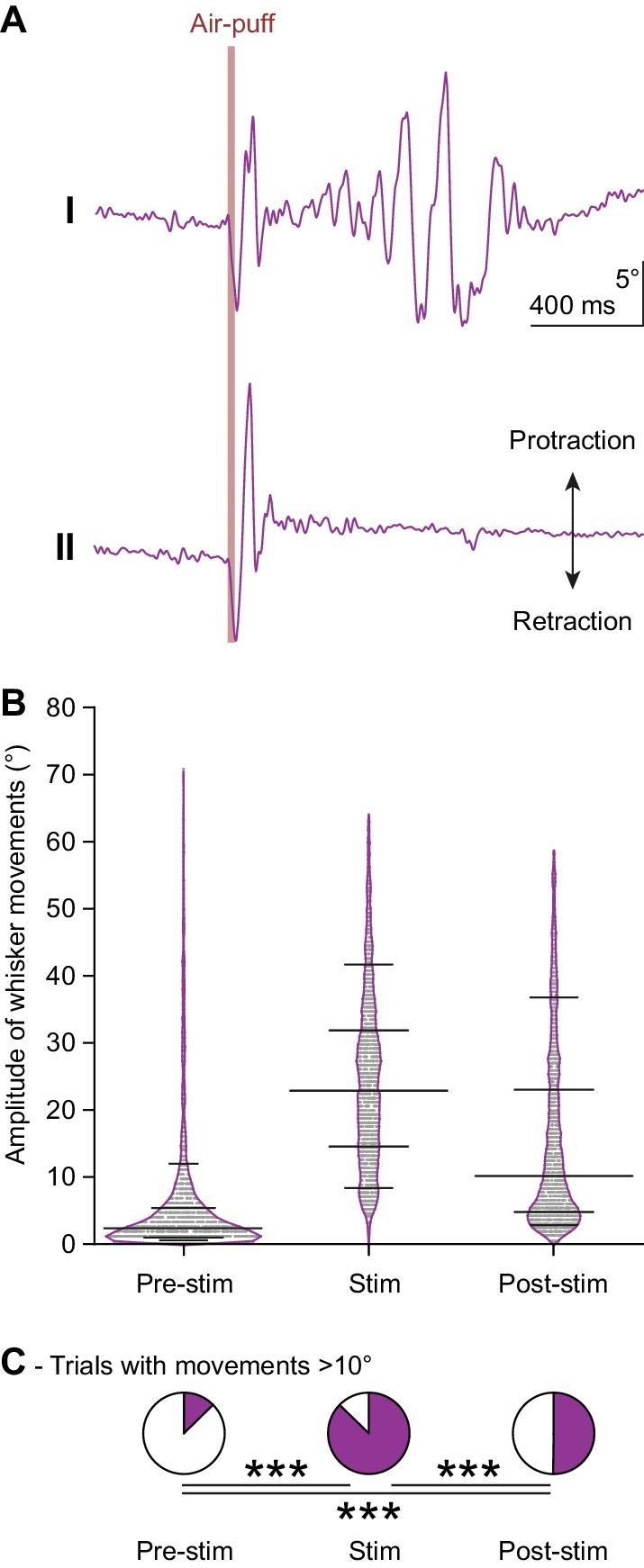 https://cdn.ncbi.nlm.nih.gov/pmc/blobs/e9c1/6326726/32c873cb166b/elife-38852-fig1-figsupp1.jpg