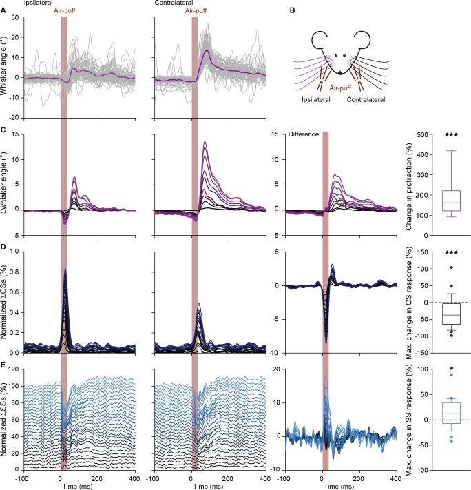 https://cdn.ncbi.nlm.nih.gov/pmc/blobs/e9c1/6326726/63f72292ebb7/elife-38852-fig5-figsupp3.jpg