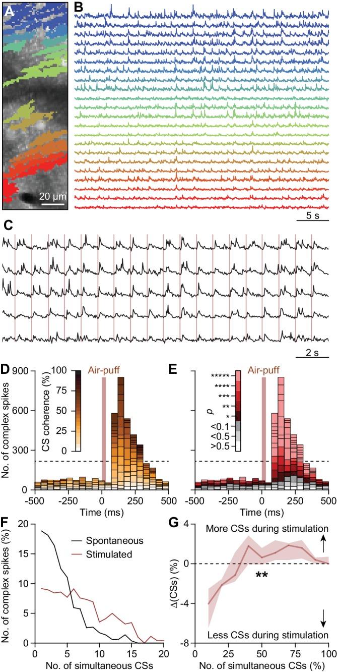 https://cdn.ncbi.nlm.nih.gov/pmc/blobs/e9c1/6326726/db67e37945c8/elife-38852-fig3-figsupp2.jpg
