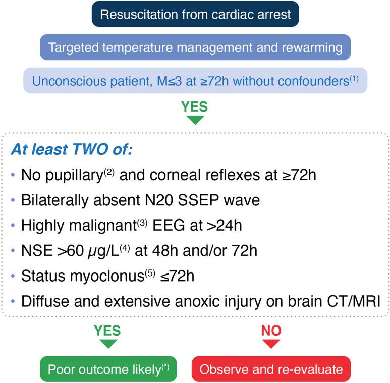 https://cdn.ncbi.nlm.nih.gov/pmc/blobs/e9c1/7993077/03baa1ca568c/134_2021_6368_Fig4_HTML.jpg