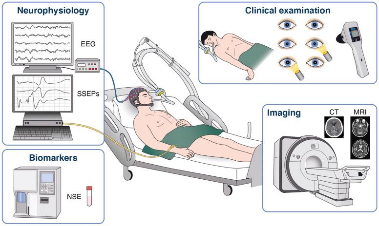 https://cdn.ncbi.nlm.nih.gov/pmc/blobs/e9c1/7993077/130613e34181/134_2021_6368_Fig3_HTML.jpg