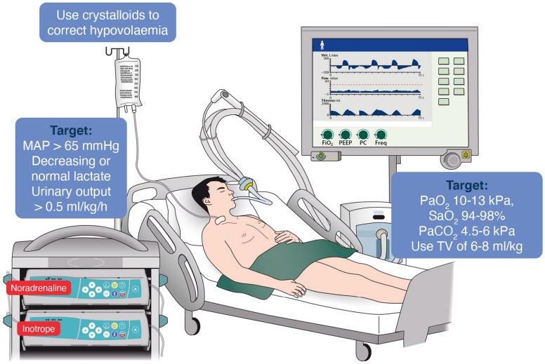 https://cdn.ncbi.nlm.nih.gov/pmc/blobs/e9c1/7993077/e395fd422ce7/134_2021_6368_Fig2_HTML.jpg