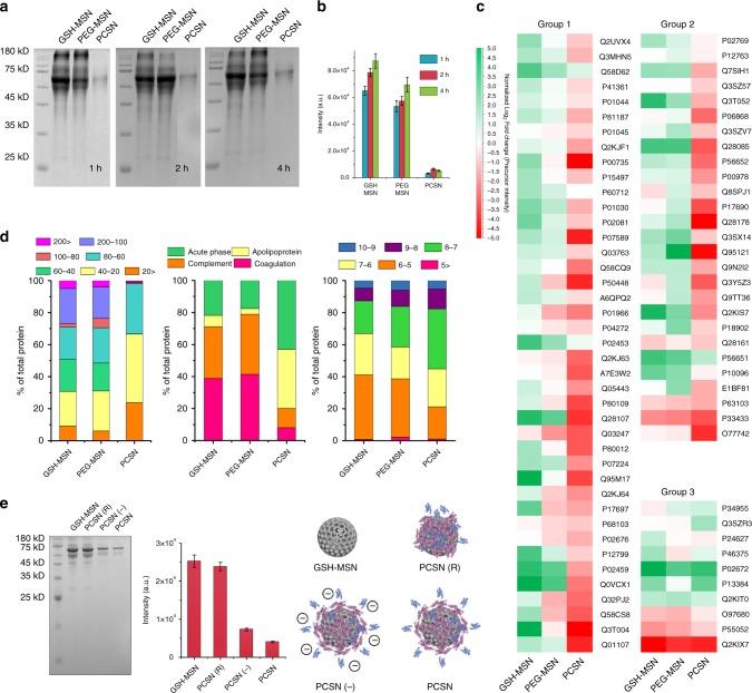 https://cdn.ncbi.nlm.nih.gov/pmc/blobs/e9c2/6208370/ea8f9f2d5a07/41467_2018_6979_Fig2_HTML.jpg