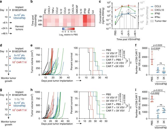 https://cdn.ncbi.nlm.nih.gov/pmc/blobs/e9c2/7314766/4a0f083ca2d3/41467_2020_17011_Fig1_HTML.jpg