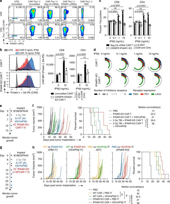 https://cdn.ncbi.nlm.nih.gov/pmc/blobs/e9c2/7314766/d00e66a7e071/41467_2020_17011_Fig6_HTML.jpg