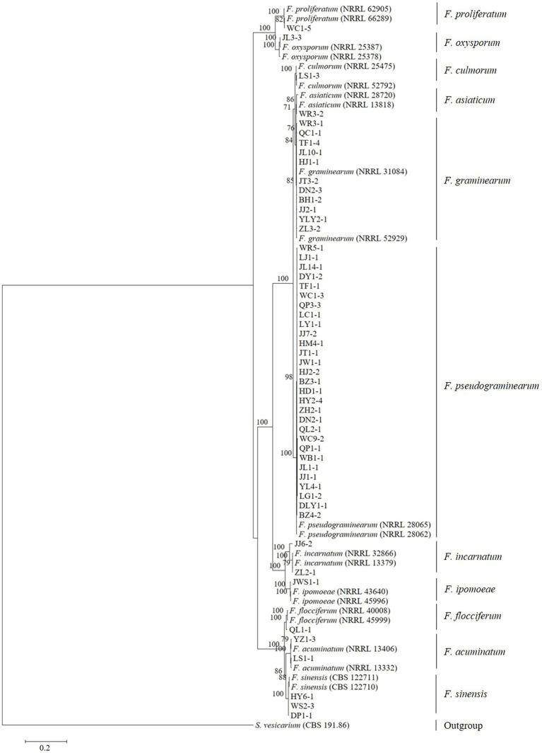 https://cdn.ncbi.nlm.nih.gov/pmc/blobs/e9c4/11169711/1c7f683b7270/fmicb-15-1405115-g003.jpg