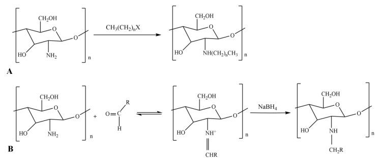 https://cdn.ncbi.nlm.nih.gov/pmc/blobs/e9c4/7014278/278762df06e2/ijms-21-00487-g003.jpg