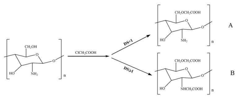 https://cdn.ncbi.nlm.nih.gov/pmc/blobs/e9c4/7014278/c89e83447b35/ijms-21-00487-g004.jpg