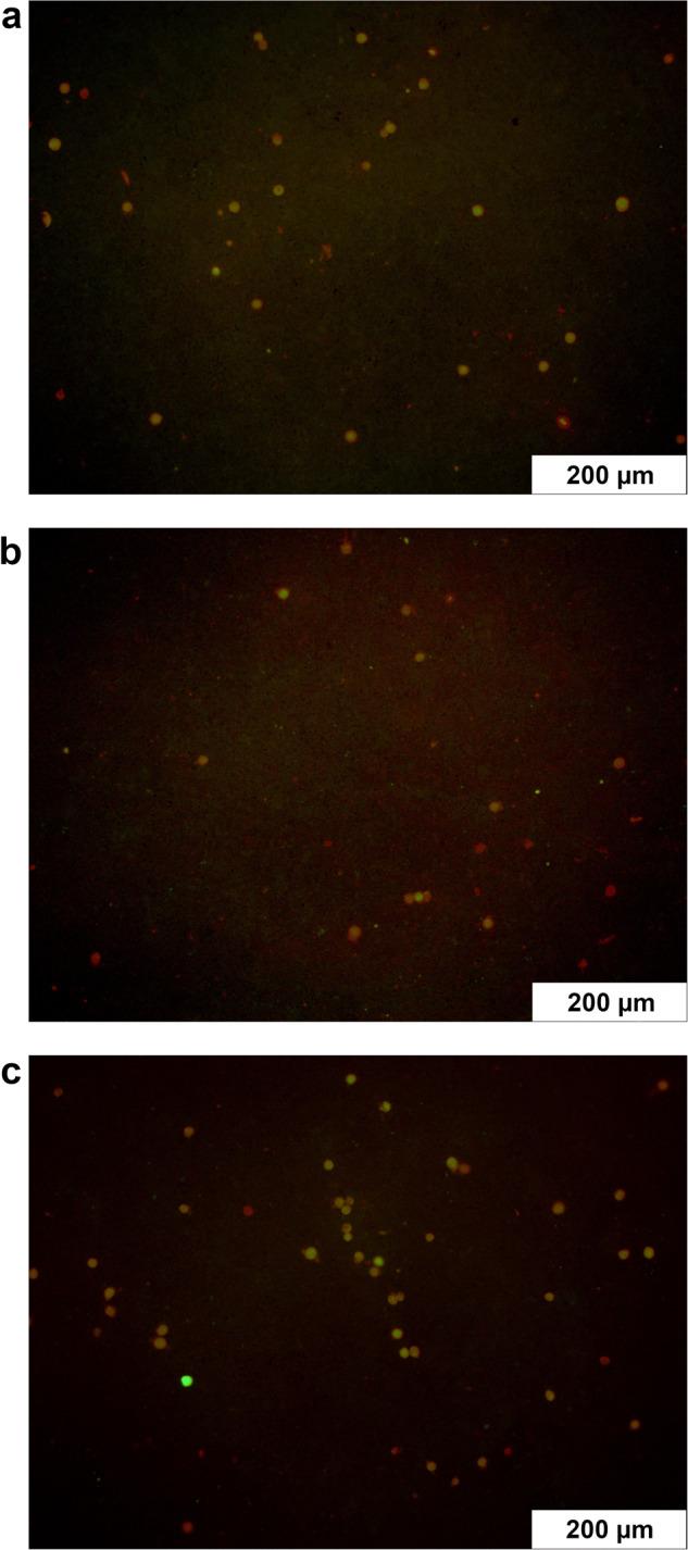https://cdn.ncbi.nlm.nih.gov/pmc/blobs/e9c5/10374674/0abdf1249711/10856_2023_6743_Fig10_HTML.jpg