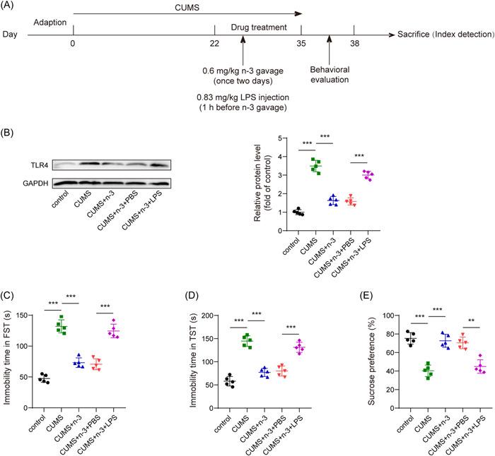 https://cdn.ncbi.nlm.nih.gov/pmc/blobs/e9c5/9552990/0b26ee49eec5/IID3-10-e707-g007.jpg