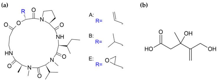https://cdn.ncbi.nlm.nih.gov/pmc/blobs/e9c7/8467351/233ba1e33490/biomolecules-11-01270-g004.jpg