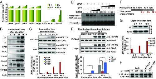 https://cdn.ncbi.nlm.nih.gov/pmc/blobs/e9c8/6042084/7acb2b5f5c6d/pnas.1807364115fig06.jpg