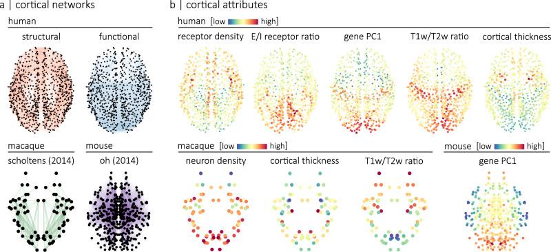 https://cdn.ncbi.nlm.nih.gov/pmc/blobs/e9cb/10195875/fa07b5ef5ba1/41467_2023_38585_Fig1_HTML.jpg