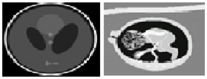 https://cdn.ncbi.nlm.nih.gov/pmc/blobs/e9cb/10529025/a5f052e335dd/diagnostics-13-02919-g003.jpg