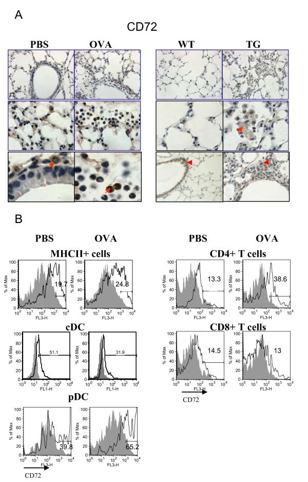 https://cdn.ncbi.nlm.nih.gov/pmc/blobs/e9cb/3118960/03a5aac4f9d7/1471-2172-12-30-5.jpg
