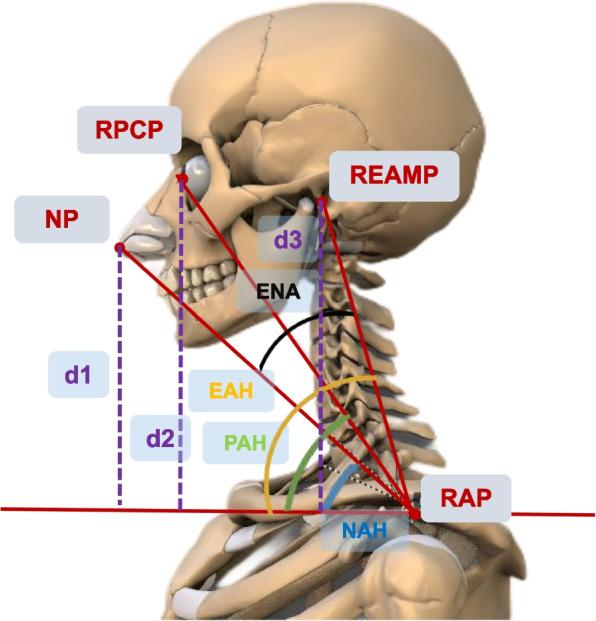 https://cdn.ncbi.nlm.nih.gov/pmc/blobs/e9cd/10496156/6324cc305d43/12911_2023_2285_Fig2_HTML.jpg