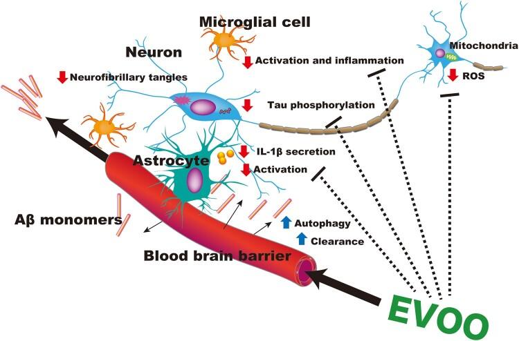 https://cdn.ncbi.nlm.nih.gov/pmc/blobs/e9cd/8581649/2b88fa9e32a5/nuaa148f2.jpg