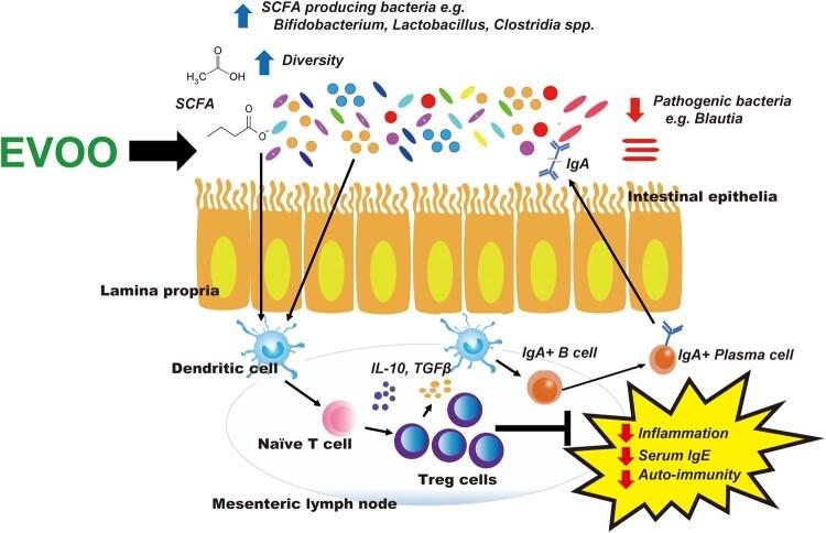 https://cdn.ncbi.nlm.nih.gov/pmc/blobs/e9cd/8581649/97acbede78ca/nuaa148f3.jpg