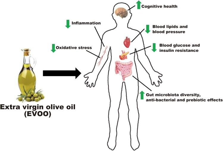 https://cdn.ncbi.nlm.nih.gov/pmc/blobs/e9cd/8581649/cf61bf64533f/nuaa148f1.jpg