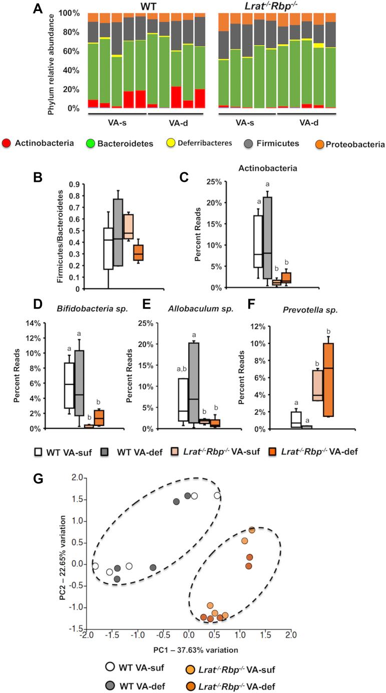 https://cdn.ncbi.nlm.nih.gov/pmc/blobs/e9cf/8020483/1aecda0dc44a/gr2.jpg